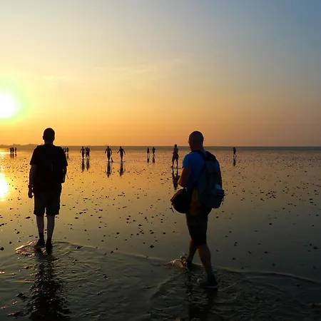 Albatros 181 Holiday home Julianadorp