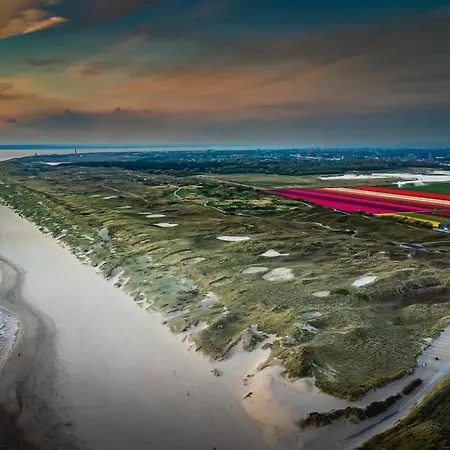 Holiday home Albatros 181 *