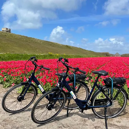 Albatros 181 Nyaraló Julianadorp