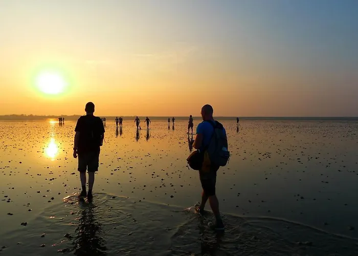 Albatros 181 度假居 朱丽安娜多普