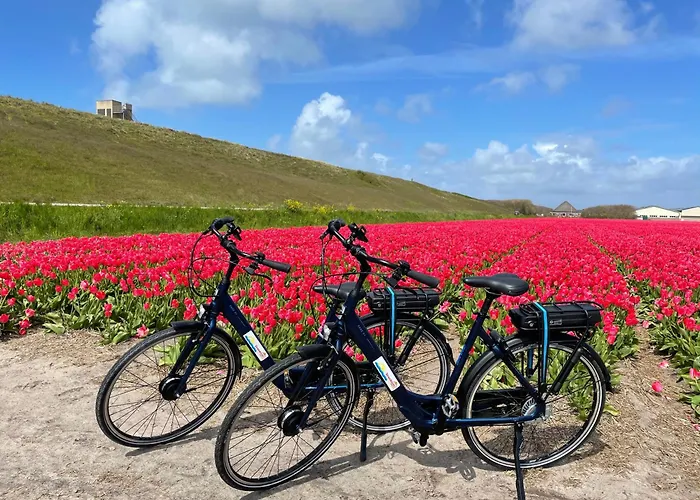 Albatros 181 度假居 朱丽安娜多普